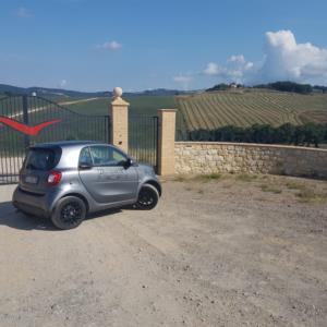 Cantine Monterosola, Volterra (PI) (In corso d'ope